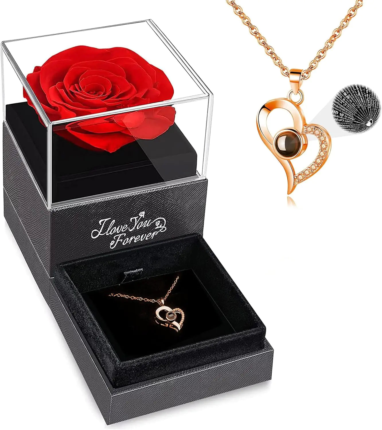 WILDLOVE Preserved Real Rose with I Love You Necklace